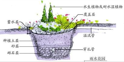 生（shēng）物滯留._2